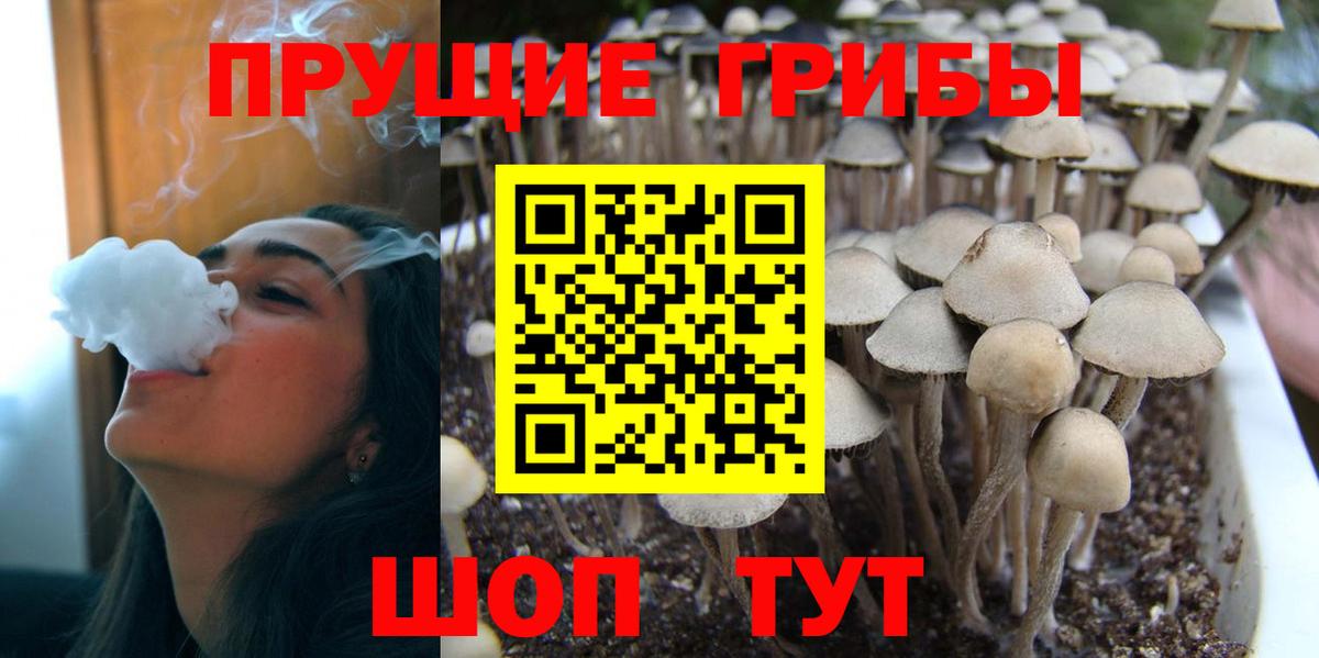 Псилоцибиновые грибы MAGIC MUSHROOMS Новошахтинск